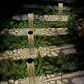 🌞 Solar tuinlamp op grondpen ✅ Uitgesneden patroon & automatische aan/uit-functie | Elegante buitenverlichting ✨