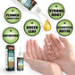 🔥Koop 1 en krijg 1 gratis (2 stuks)🔥Plantenvoedingsoplossing